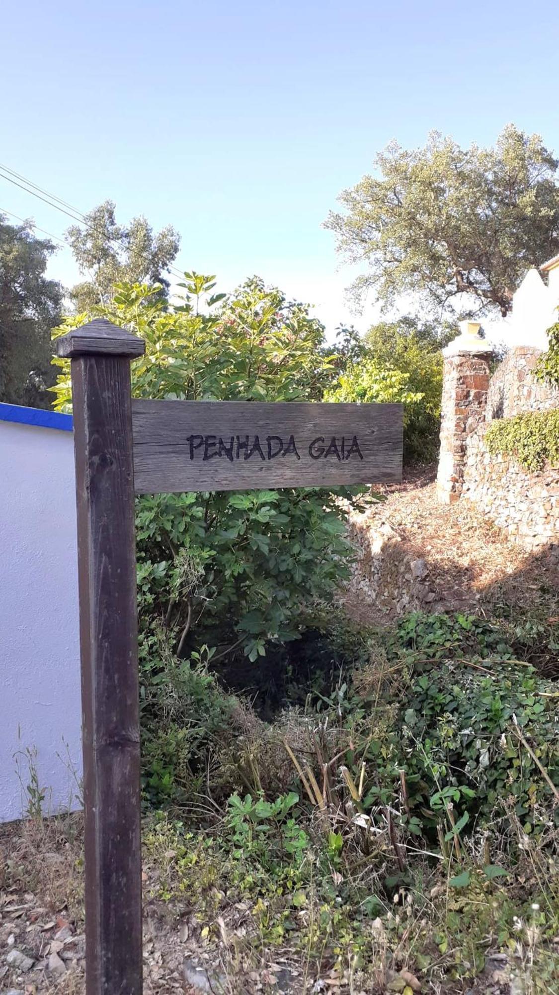 Casa Do Passaro Villa Galegos  Luaran gambar
