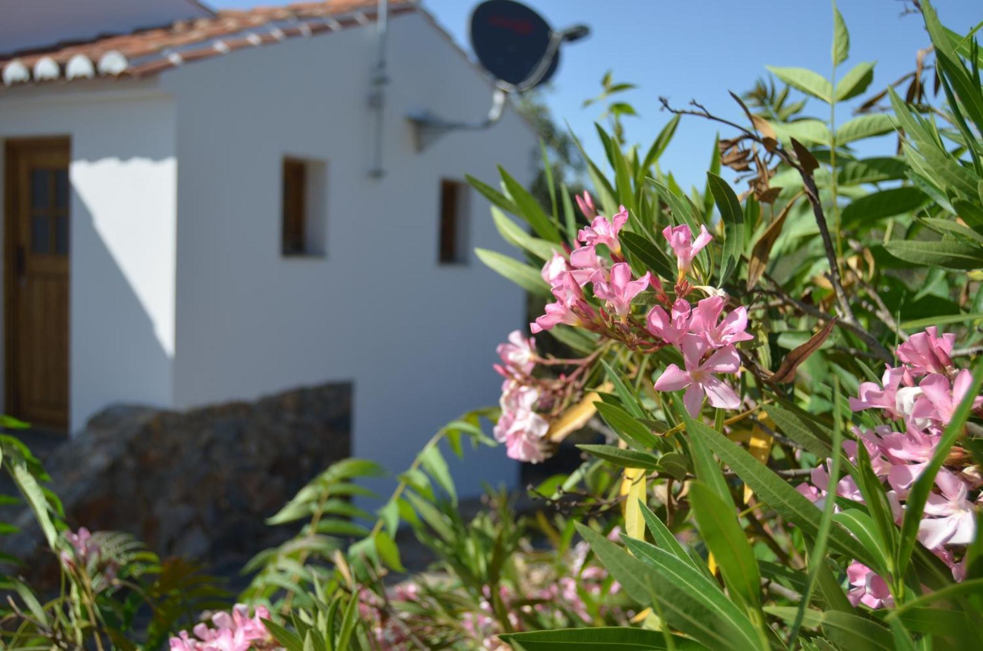 Casa Do Passaro Villa Galegos  Luaran gambar